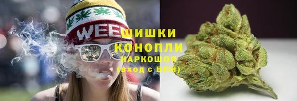 твердый Богданович