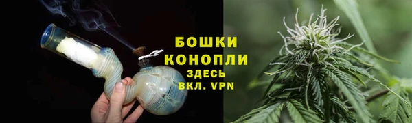 первитин Белокуриха