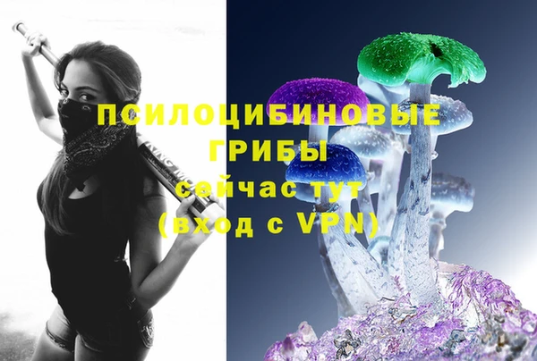 твердый Богданович