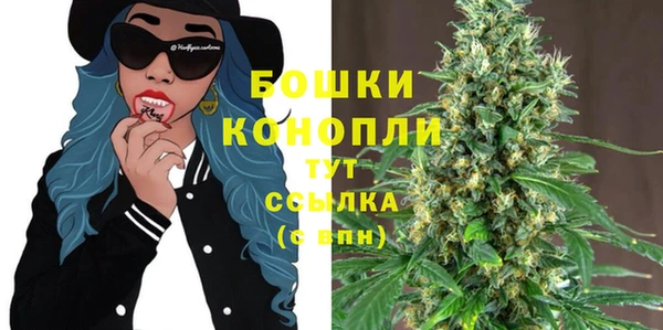 скорость Богородск