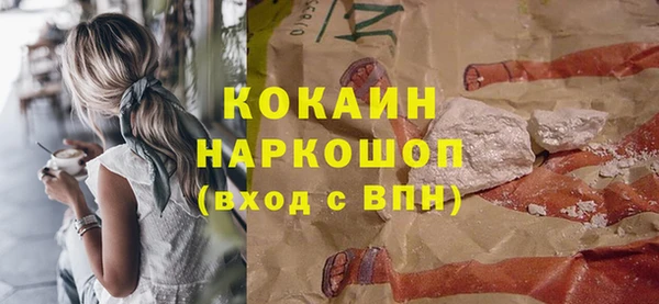 дмт Богородицк