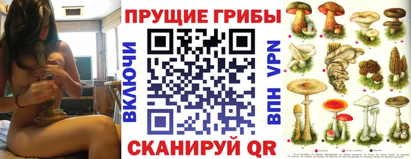 Галлюциногенные грибы Cubensis  Среднеуральск 
