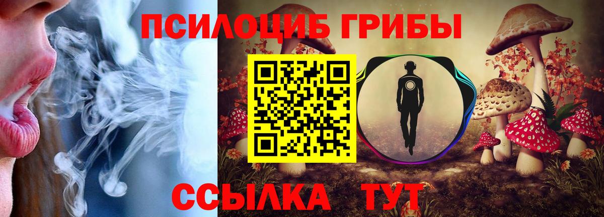Псилоцибиновые грибы GOLDEN TEACHER  Вход с VPN  Среднеуральск 