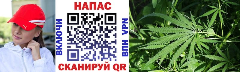 Бошки Шишки THC 21% kraken рабочий сайт Среднеуральск